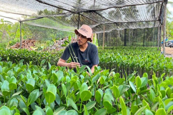 WhatsApp Image 2025-10-20 at 19.59.33