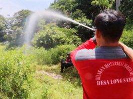 El Nino Ekstrem Mulai Terasa, Suhu Meningkat Curah Hujan Turun